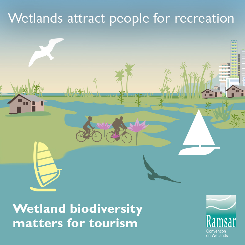Wetland biodiversity matters for tourism